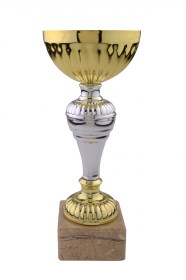 Cupe Sportive CE 02